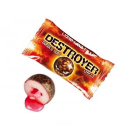 Destroyer