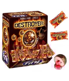 Destroyer