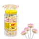 Sucette DExtrose